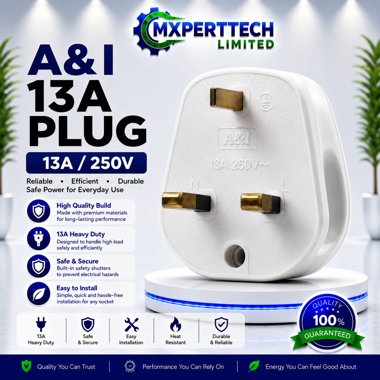 A&I 13A Plug