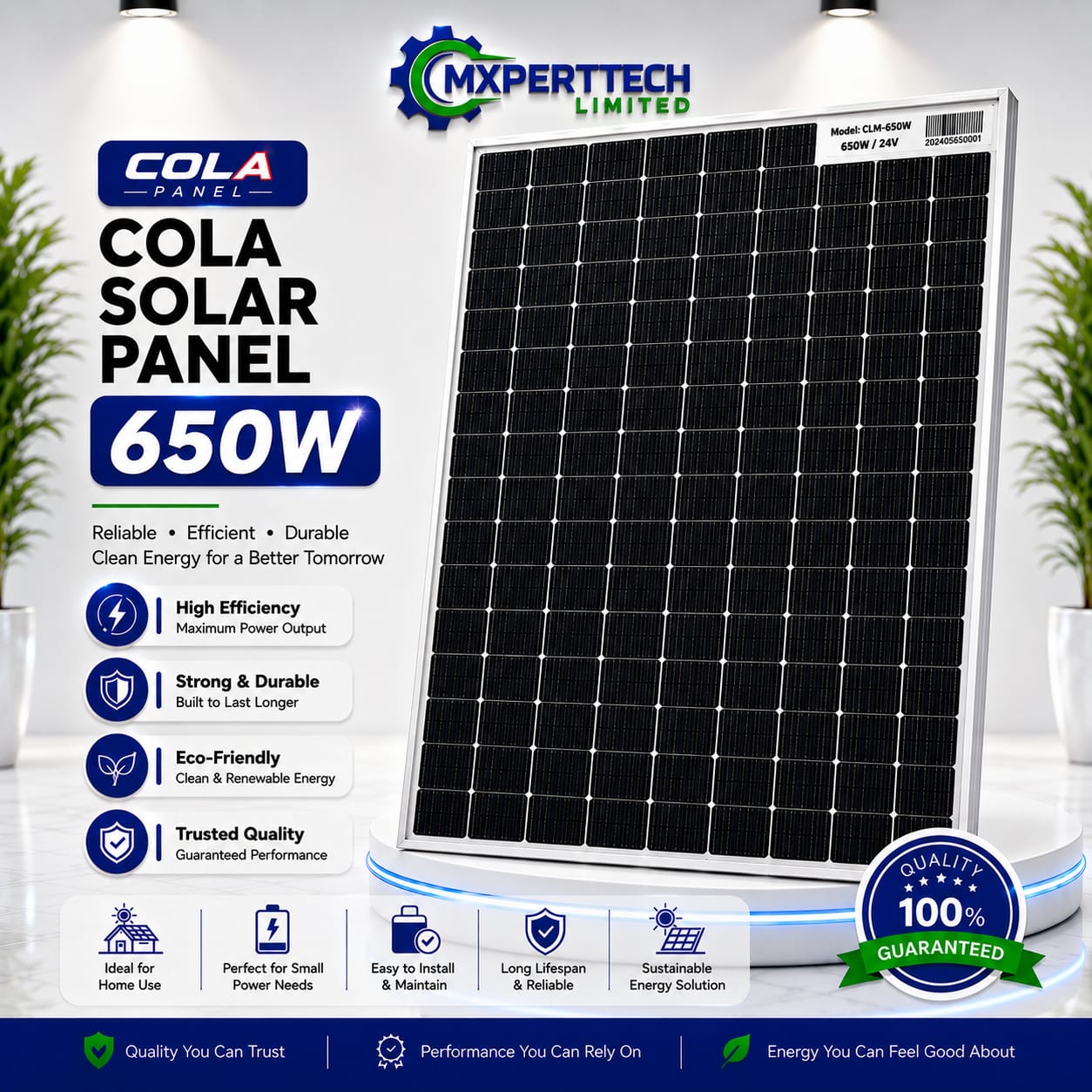 Cola Solar Panel 650W